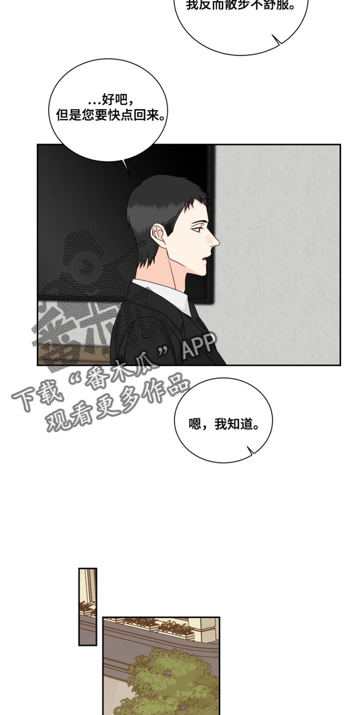 终点线简笔画图片大全漫画,第106章：【番外】散步2图