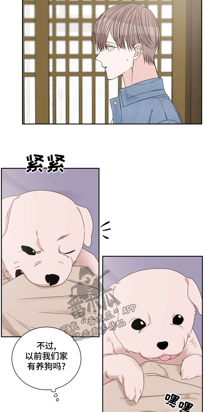 轮子到终点线漫画,第78章：【第二季】梦2图