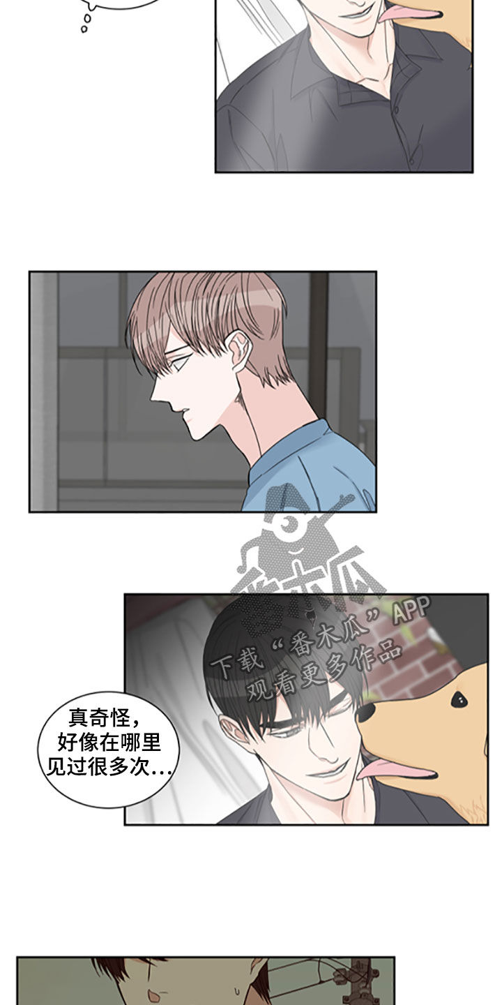 终点线拼音漫画,第40章：照片2图