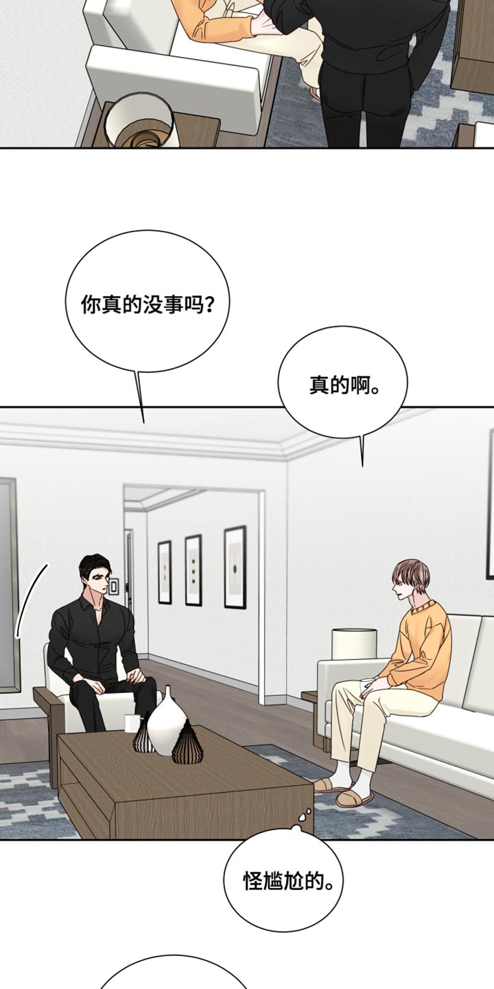 重点项目推进漫画,第111章：【番外】道歉2图