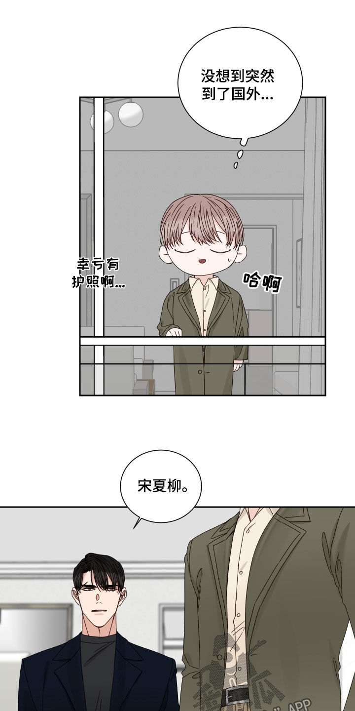 终点线的英语怎么写漫画,第101章：【番外】出国2图