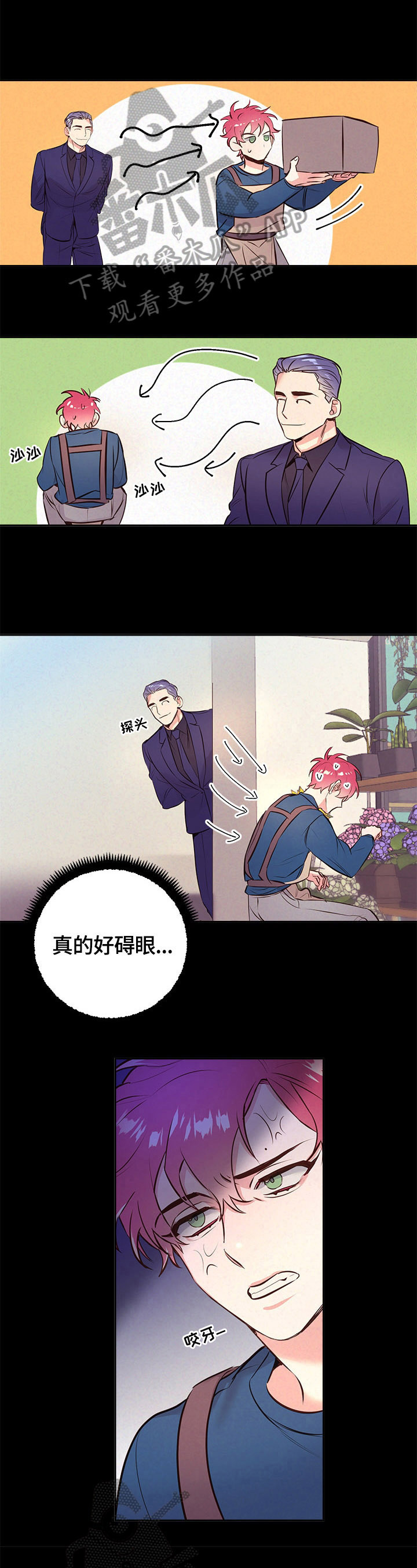 随行执事漫画双男主漫画,第59章：看花1图