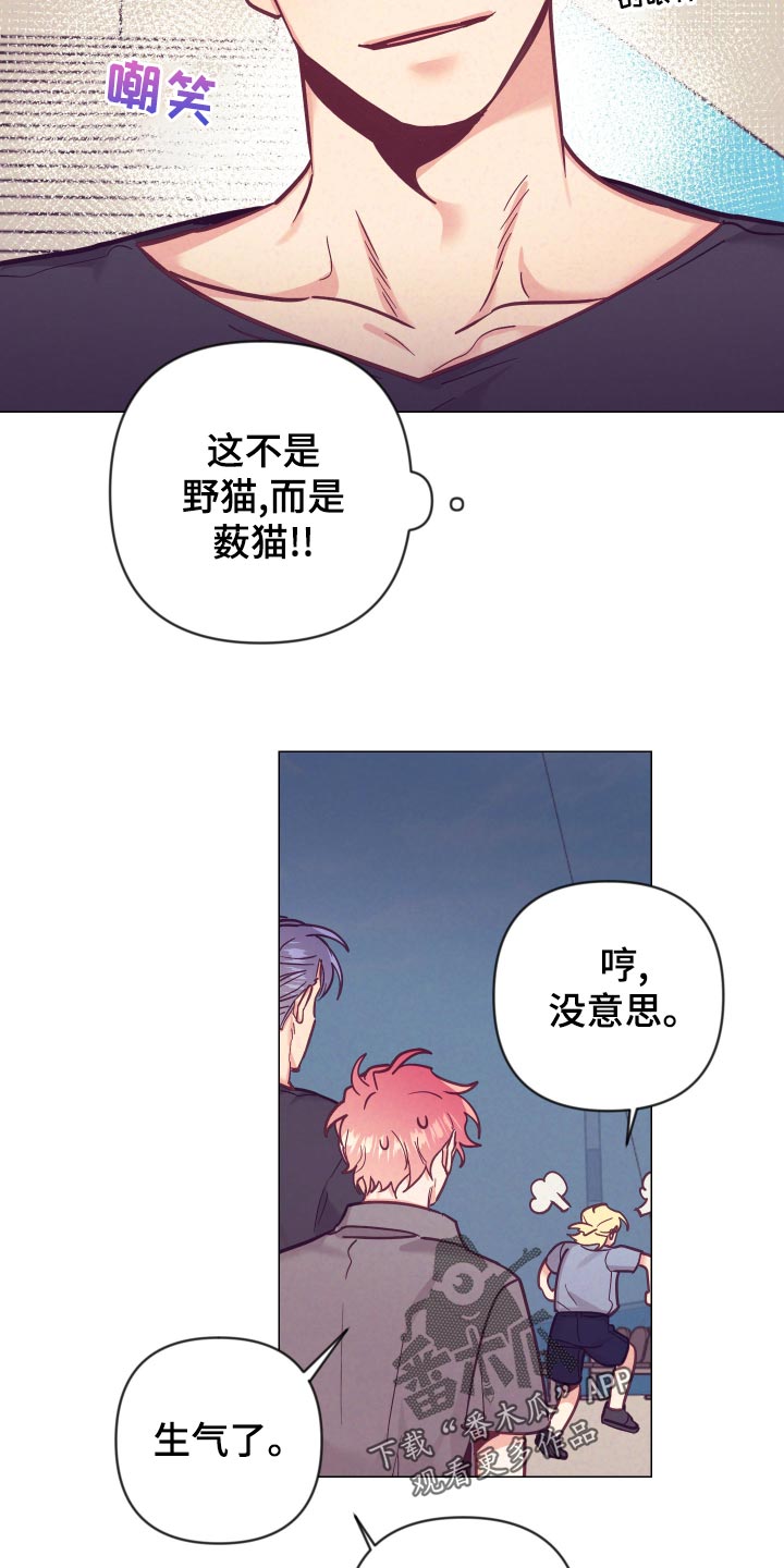 随行管家服务漫画,第122章：小野猫2图