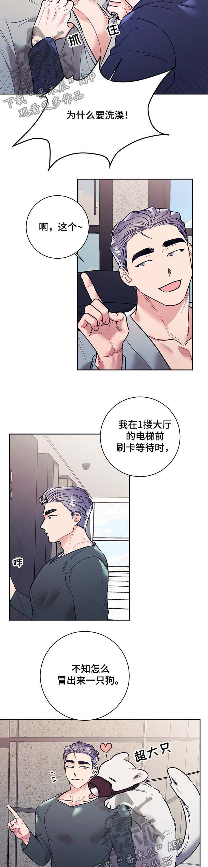 随行管家服务漫画,第21章：公主1图