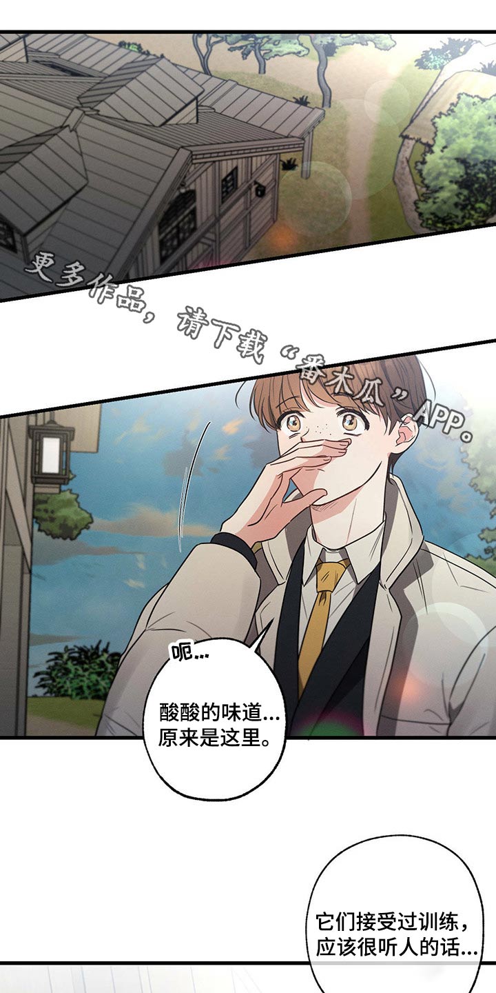 不成文的意图是小说改编的吗漫画,第83章：悲伤1图