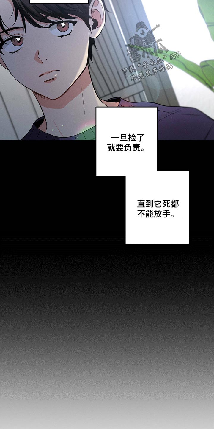 不成文什么意思漫画,第77章：责任2图