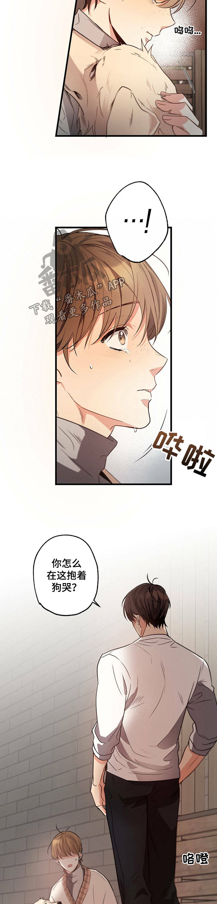 不成文的规定是什么意思漫画,第38章：抱着狗哭1图