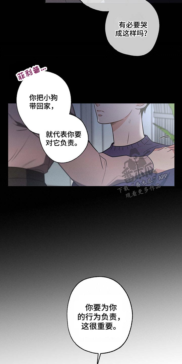 不成文什么意思漫画,第77章：责任2图