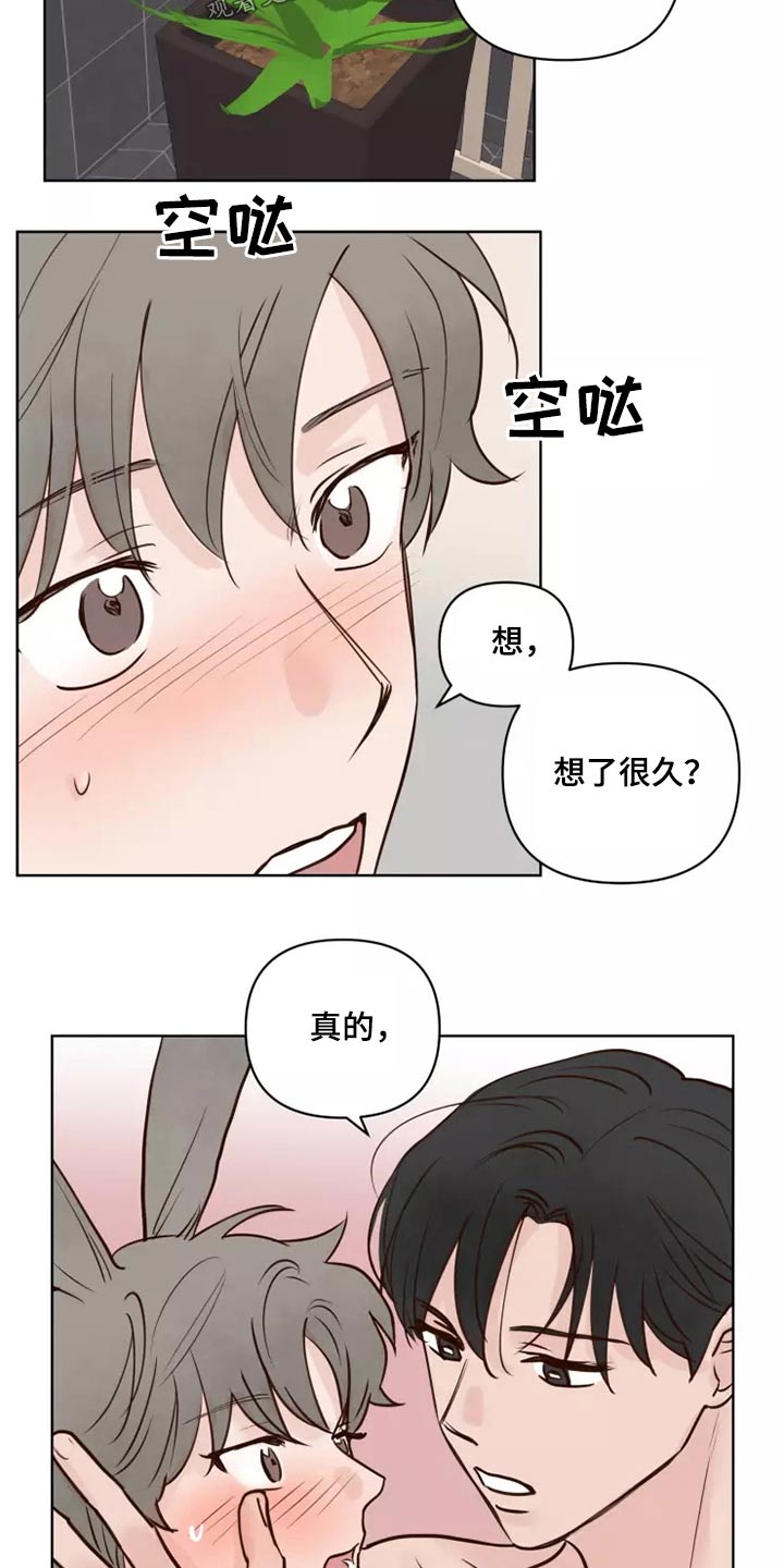 龟兔共赢理论漫画,第53章：处理1图