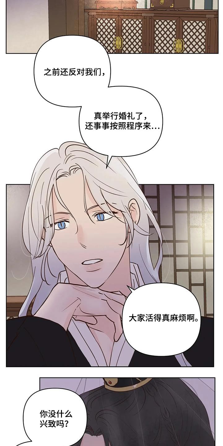 龟兔赛跑的作文漫画,第108章：婚礼1图