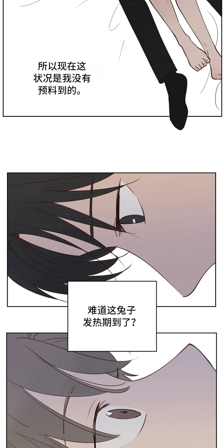 龟兔相遇漫画,第7章：不情愿2图