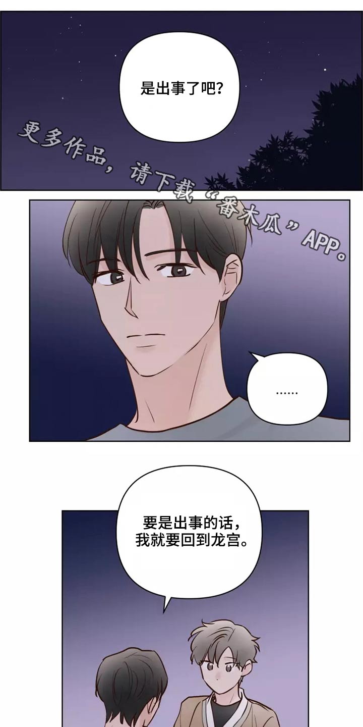 龟兔同行手抄报漫画,第58章：让我看看1图