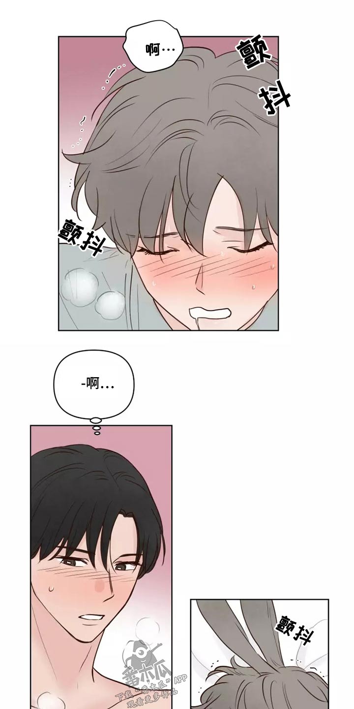 龟兔同笼应用题漫画,第42章：愿意1图