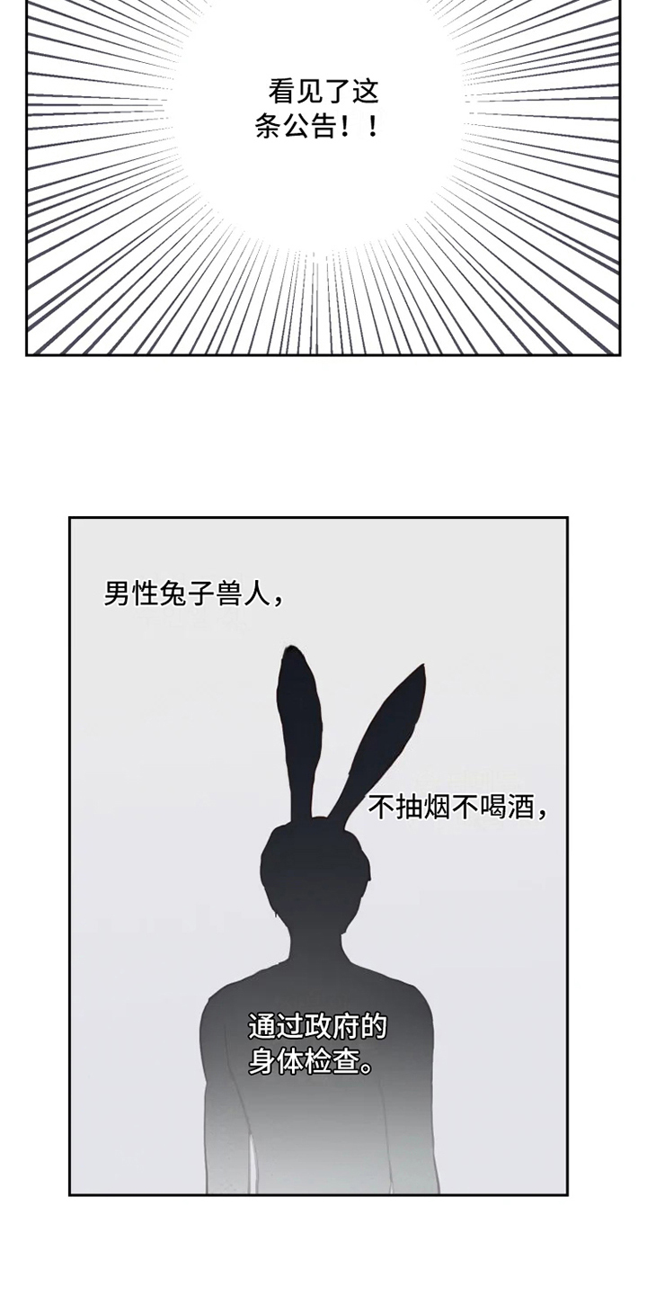 龟兔同行手抄报漫画,第2章：到达2图