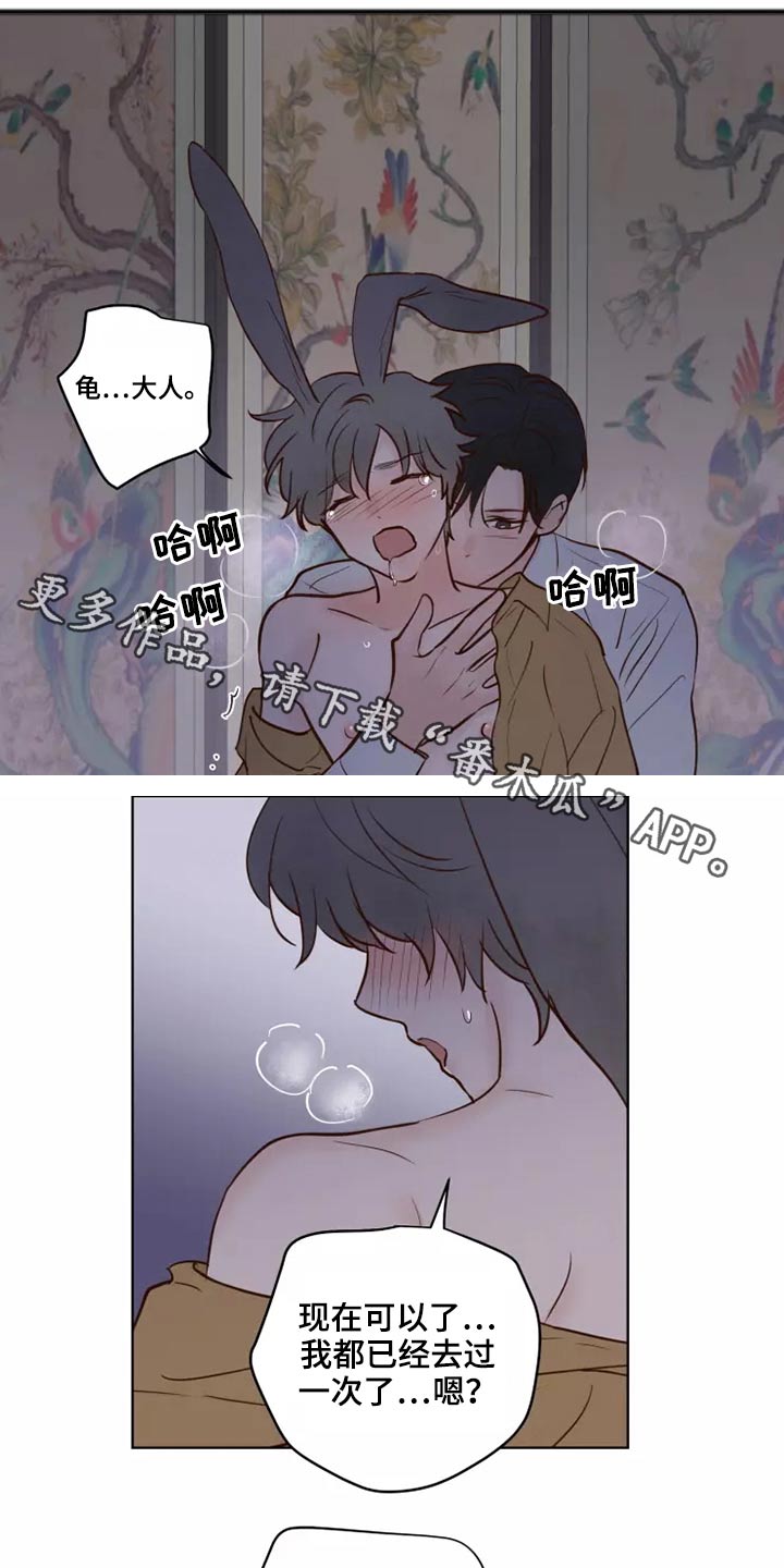 龟兔同行漫画漫画,第46章：协议1图