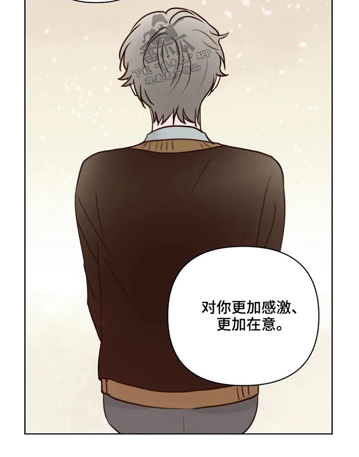 龟兔同行漫画免费观看漫画,第37章：不可以1图