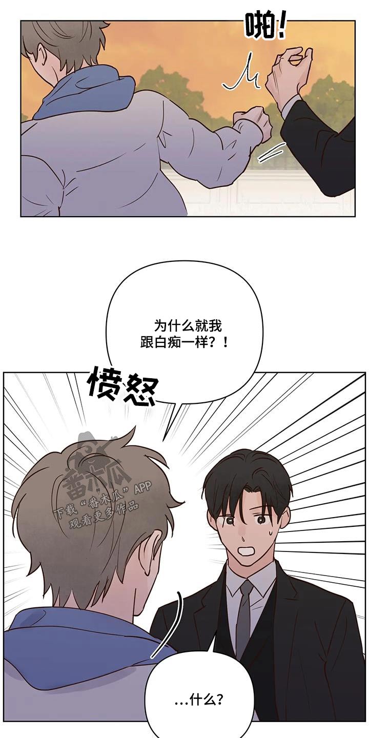 龟兔同行漫画的另一个名字漫画,第104章：不希望2图