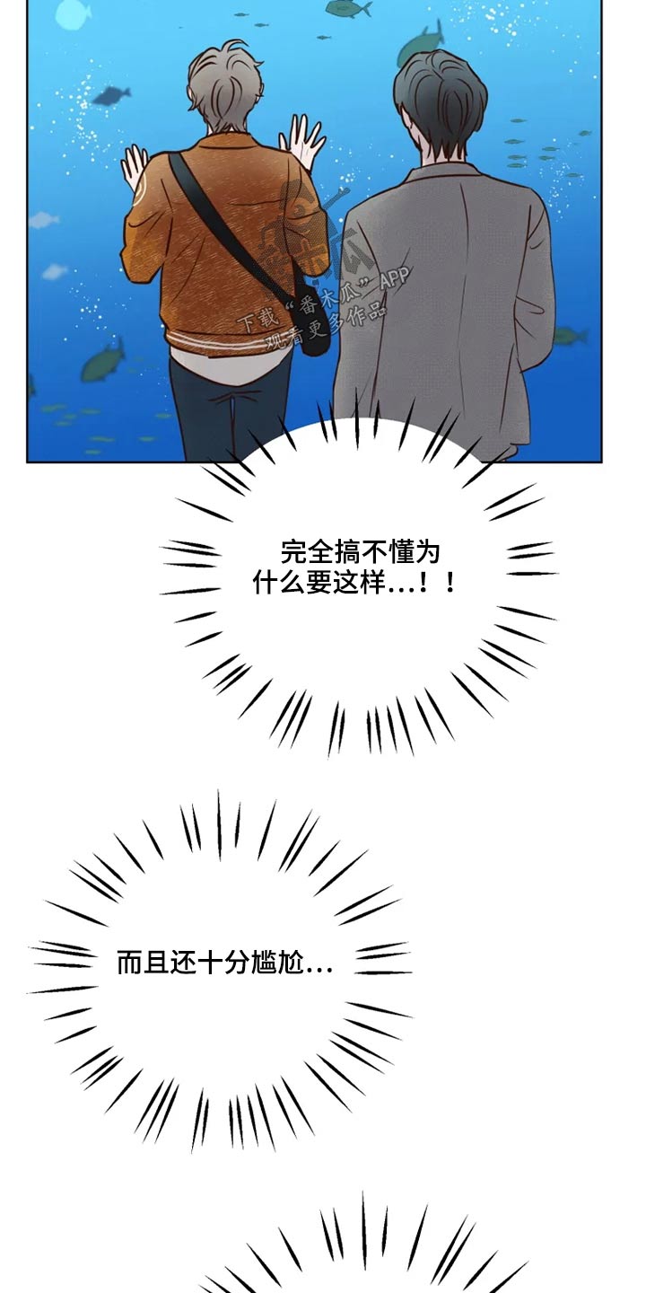 龟兔共养漫画,第27章：公园2图