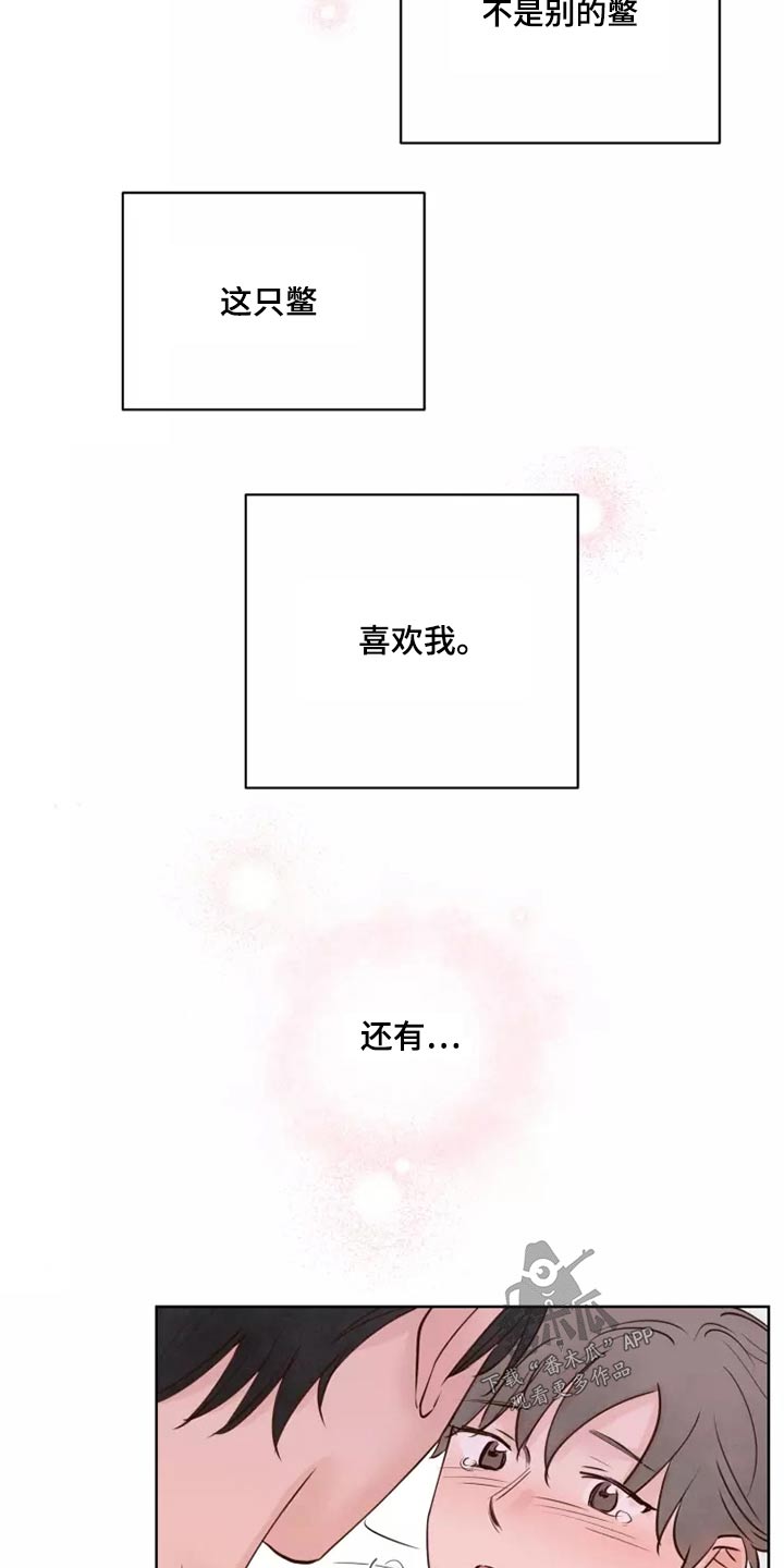 龟兔赛跑故事简短漫画,第52章：快说1图