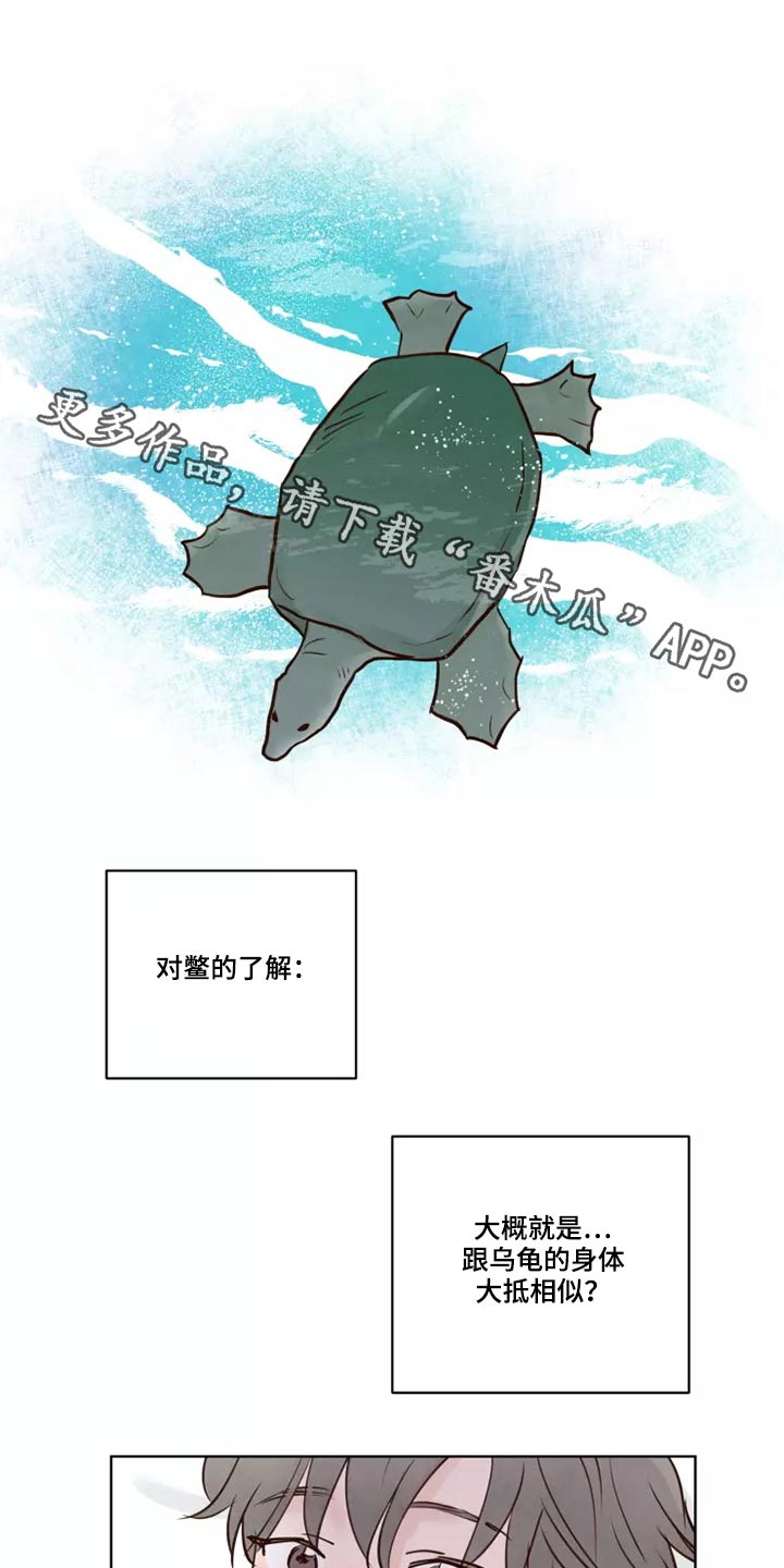 龟兔同行漫画,第52章：快说1图