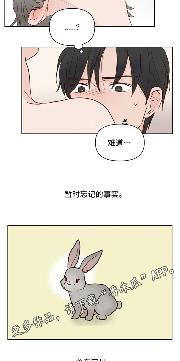 龟兔同行漫画,第9章：忘记2图