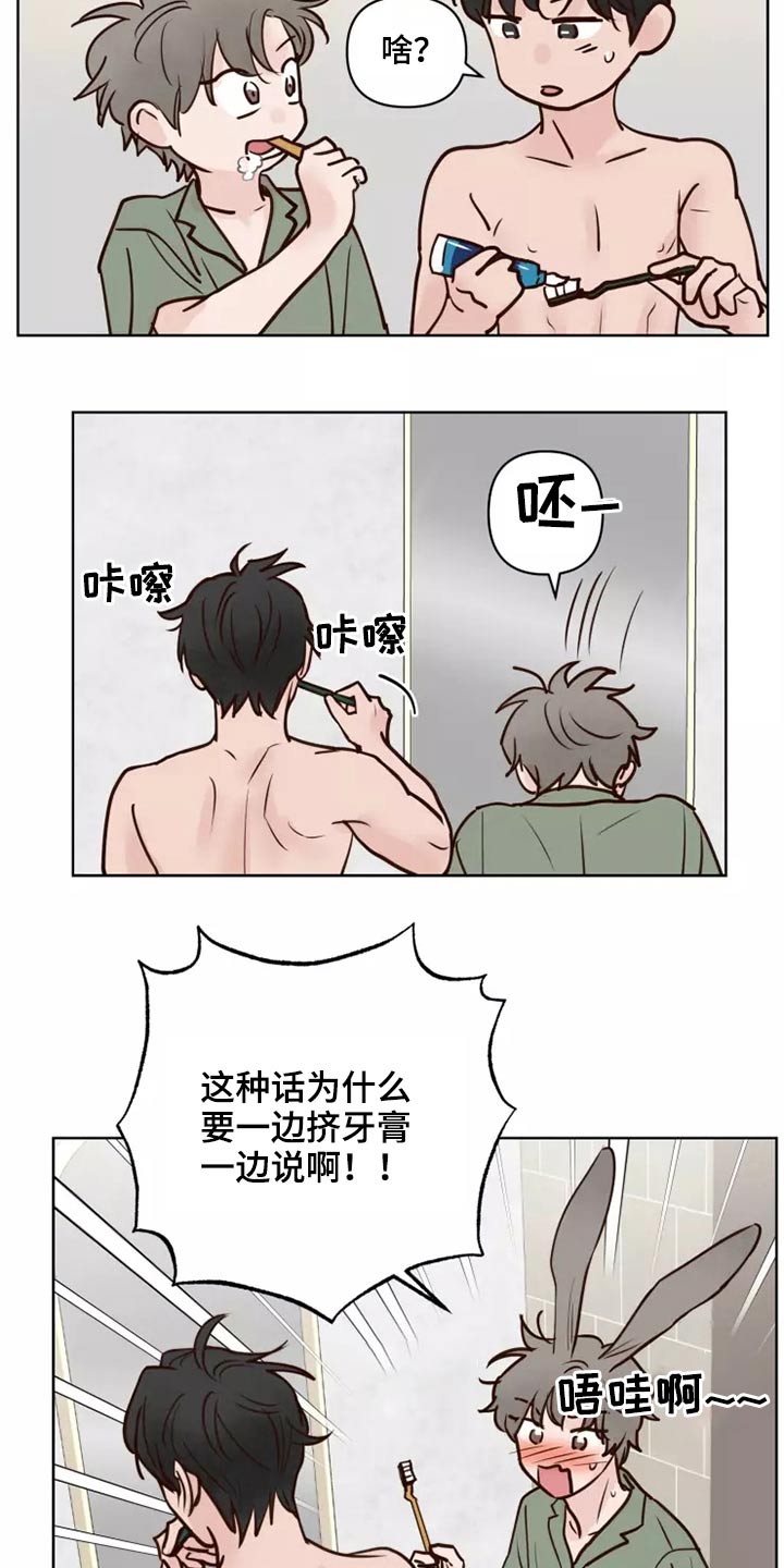 龟兔同行漫画漫画,第53章：处理2图