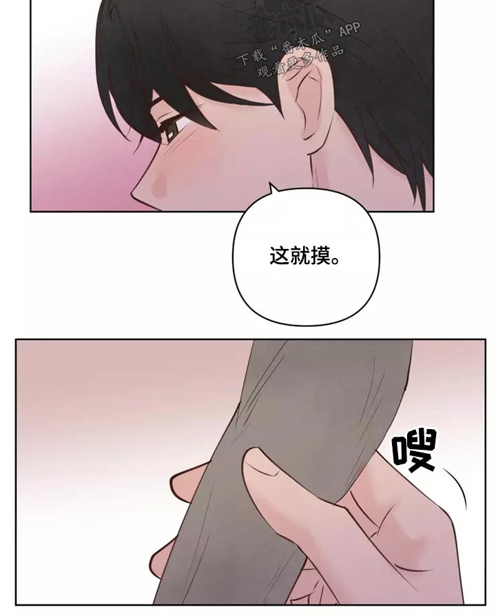 龟兔赛跑真实版漫画,第43章：耳朵2图