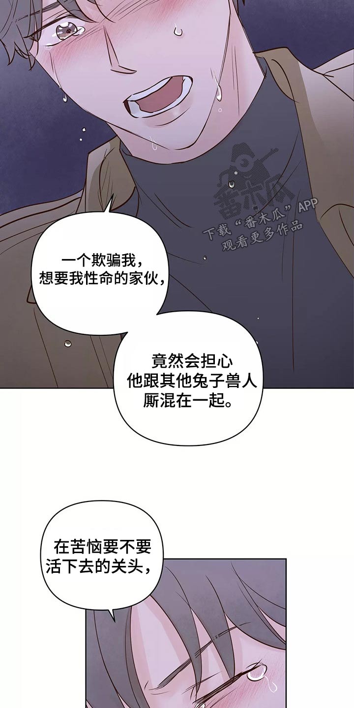 龟兔同行手抄报漫画,第68章：解释2图