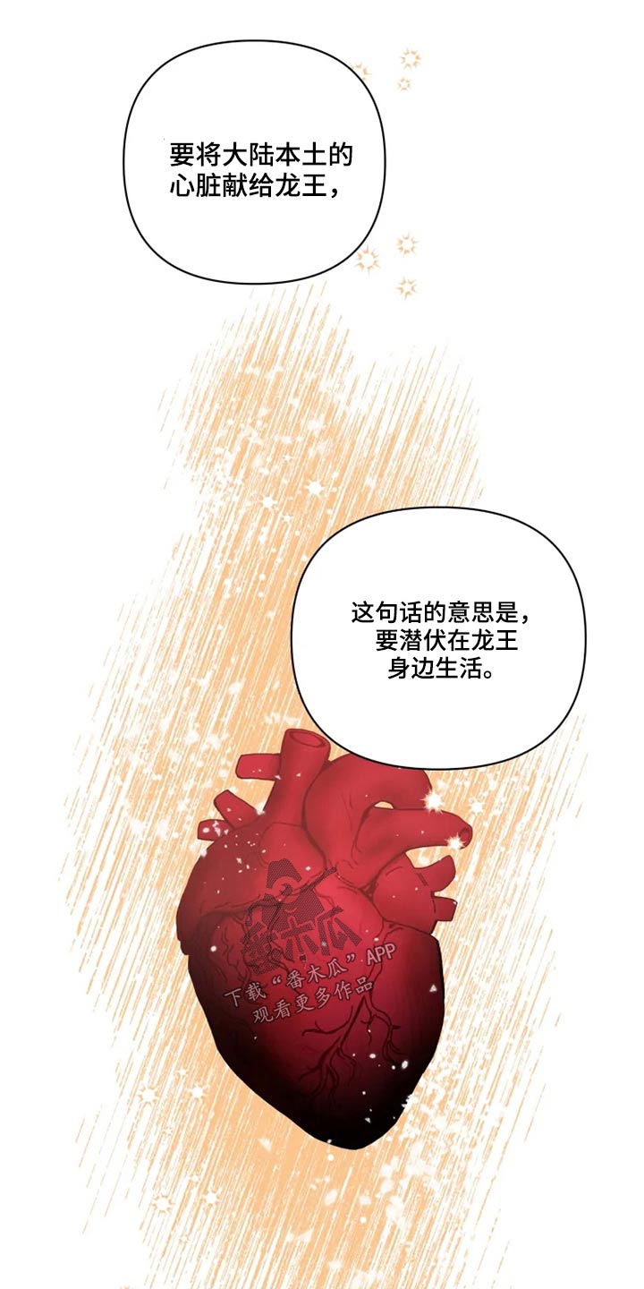 龟兔合作视频漫画,第39章：协议书2图