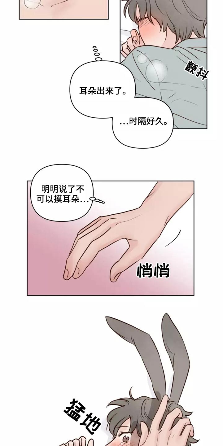 龟兔同笼应用题漫画,第42章：愿意2图