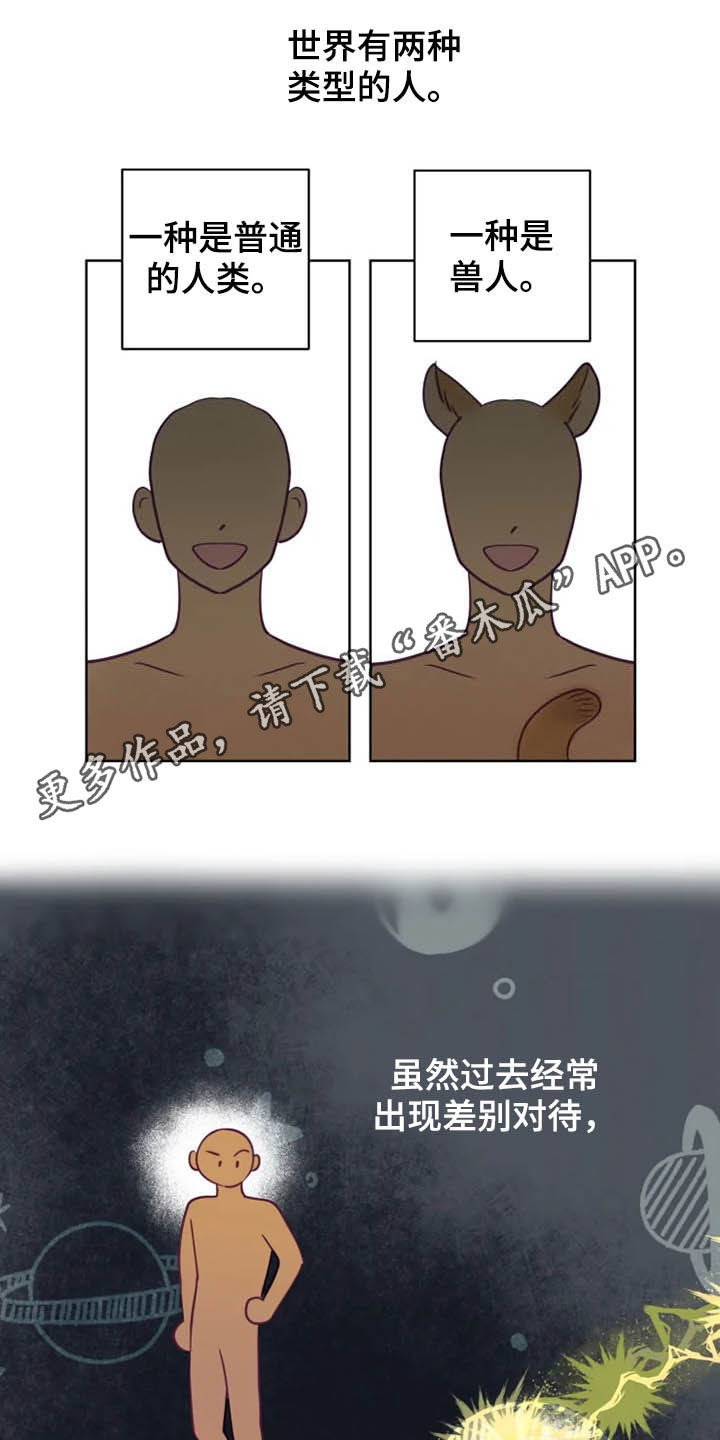 龟兔共享好物漫画,第18章：特别大使1图