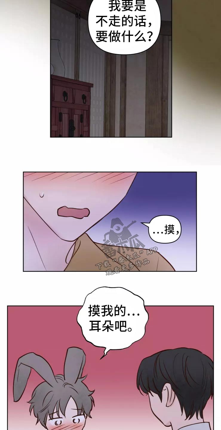 龟兔赛跑下一句是什么漫画,第45章：走之前2图