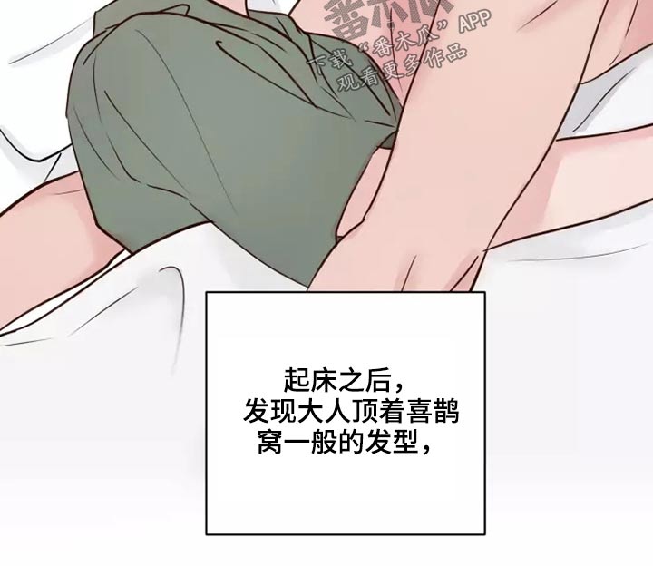 龟兔同行漫画漫画,第53章：处理2图