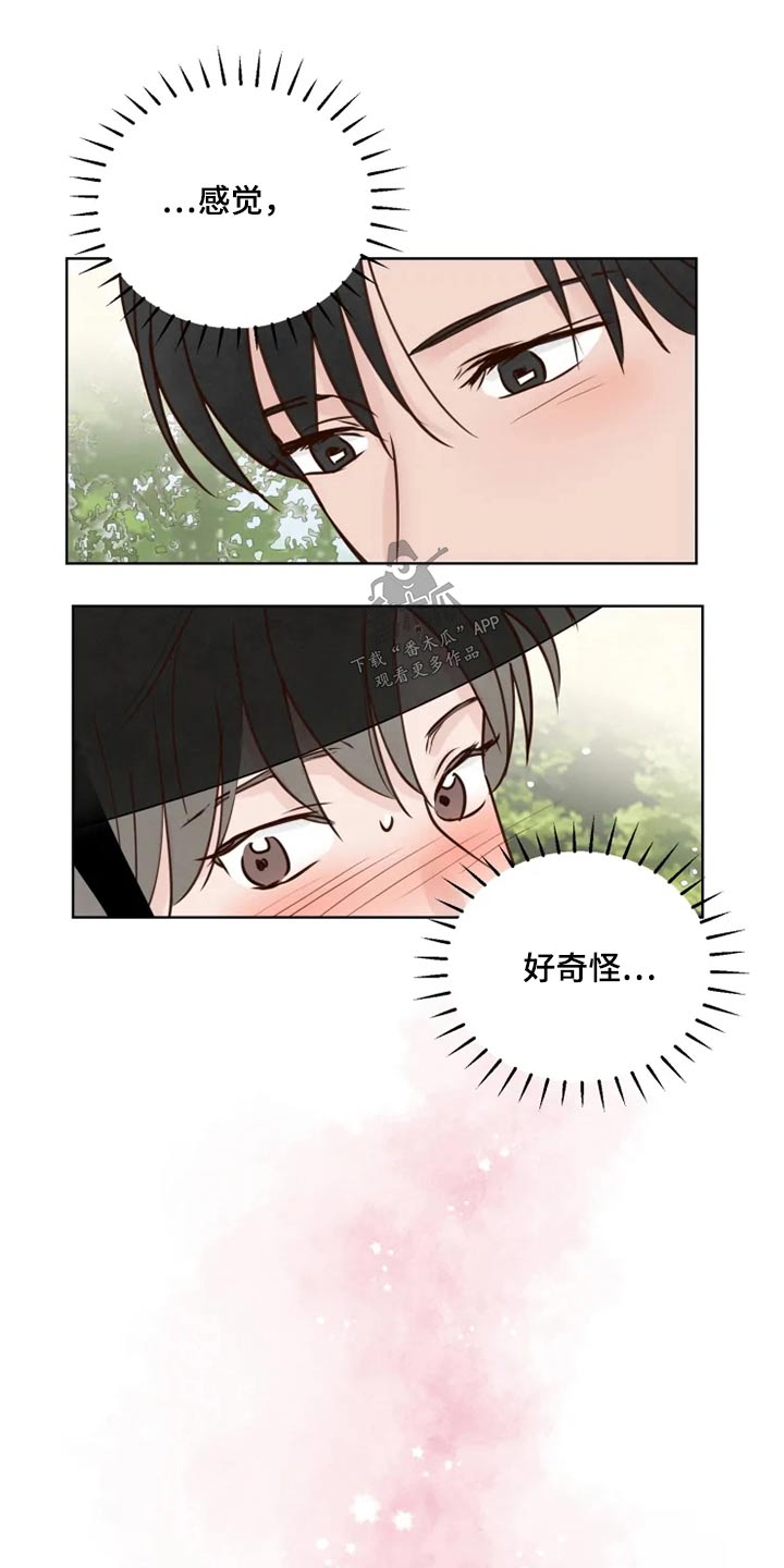 龟兔相向而行漫画,第31章：怎么办2图