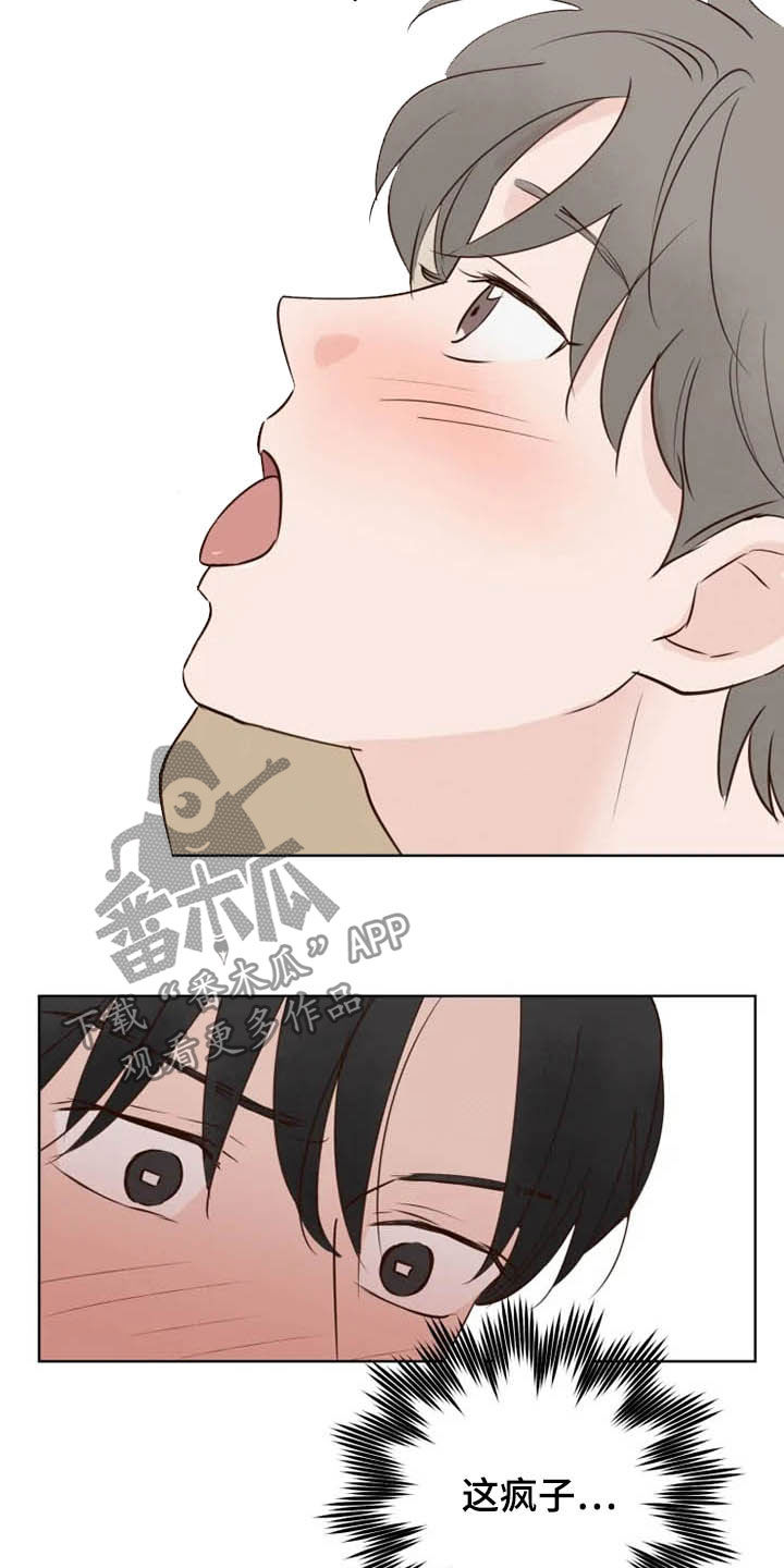 龟兔赛跑小故事漫画,第15章：疯子2图