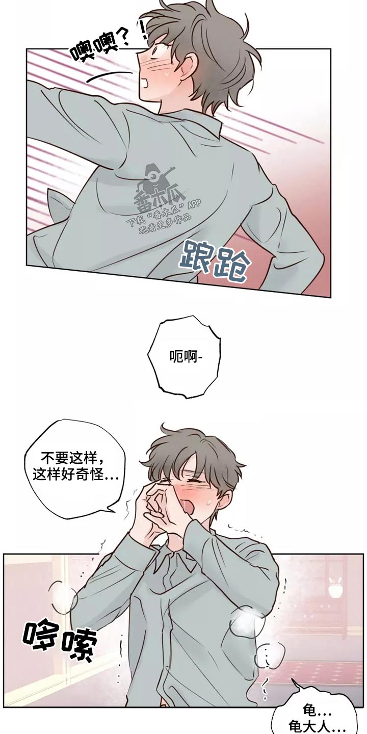 龟兔同行漫画,第42章：愿意1图