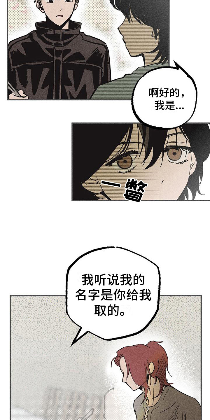 诞生英语漫画,第8章：好奇心1图