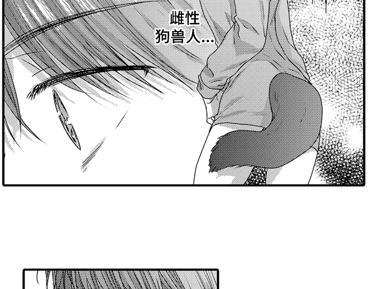 顽皮的小狗 搞笑视频漫画,第7章：气味2图