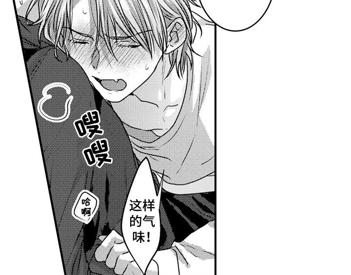 顽皮的小狗作文300字以上漫画,第7章：气味2图