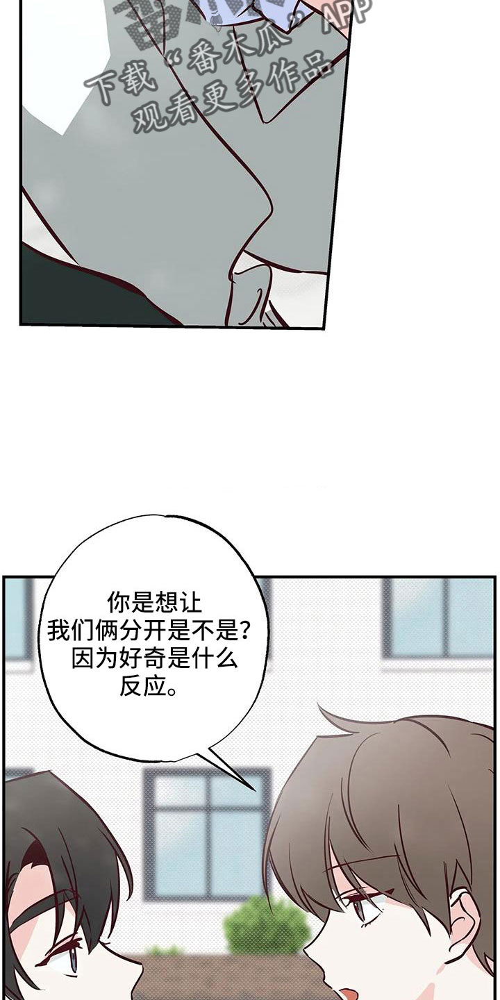 你可别乱来啊漫画,第46章：正在恋爱2图