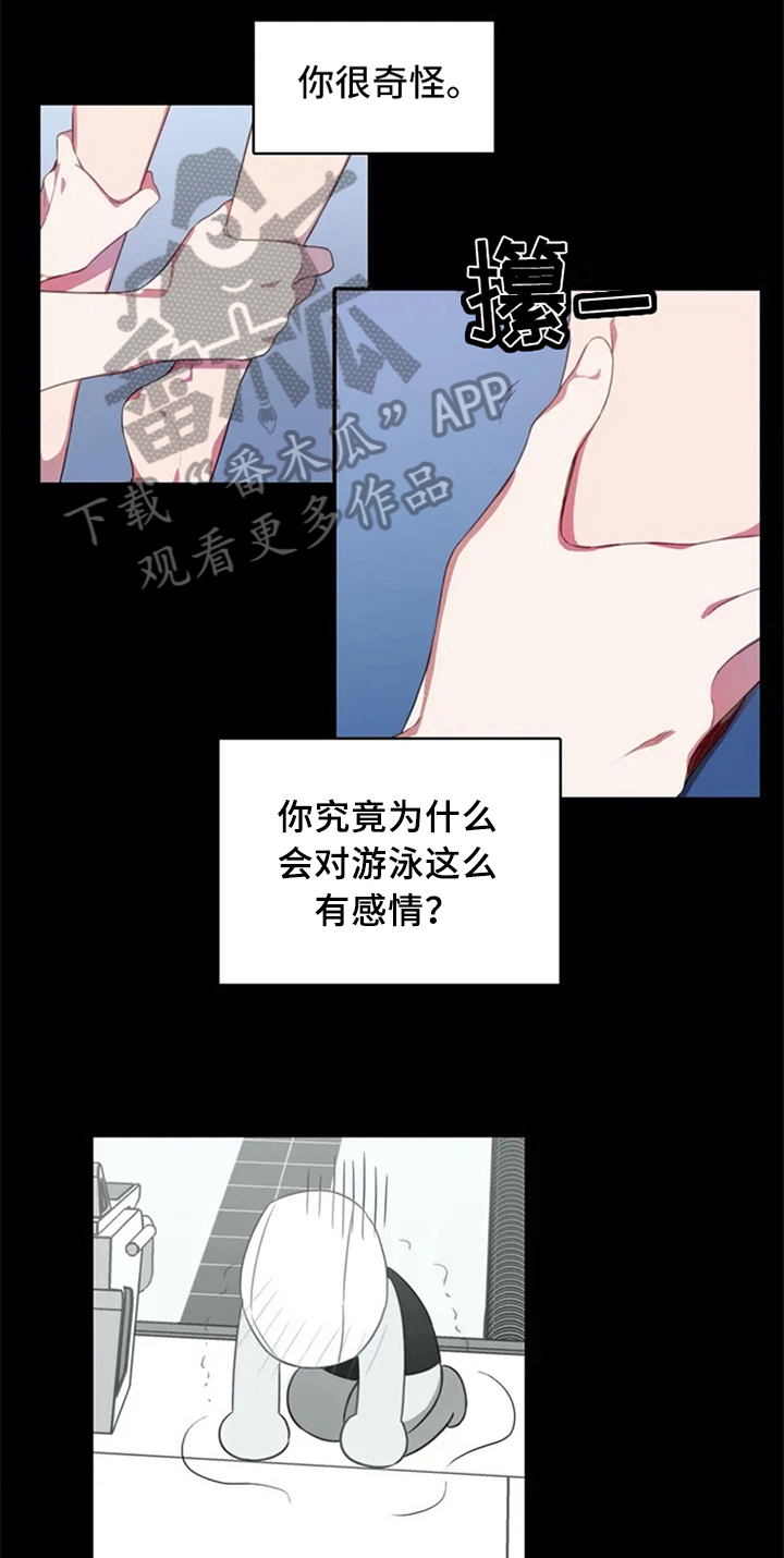 热浪游泳衣漫画,第6章：动静1图