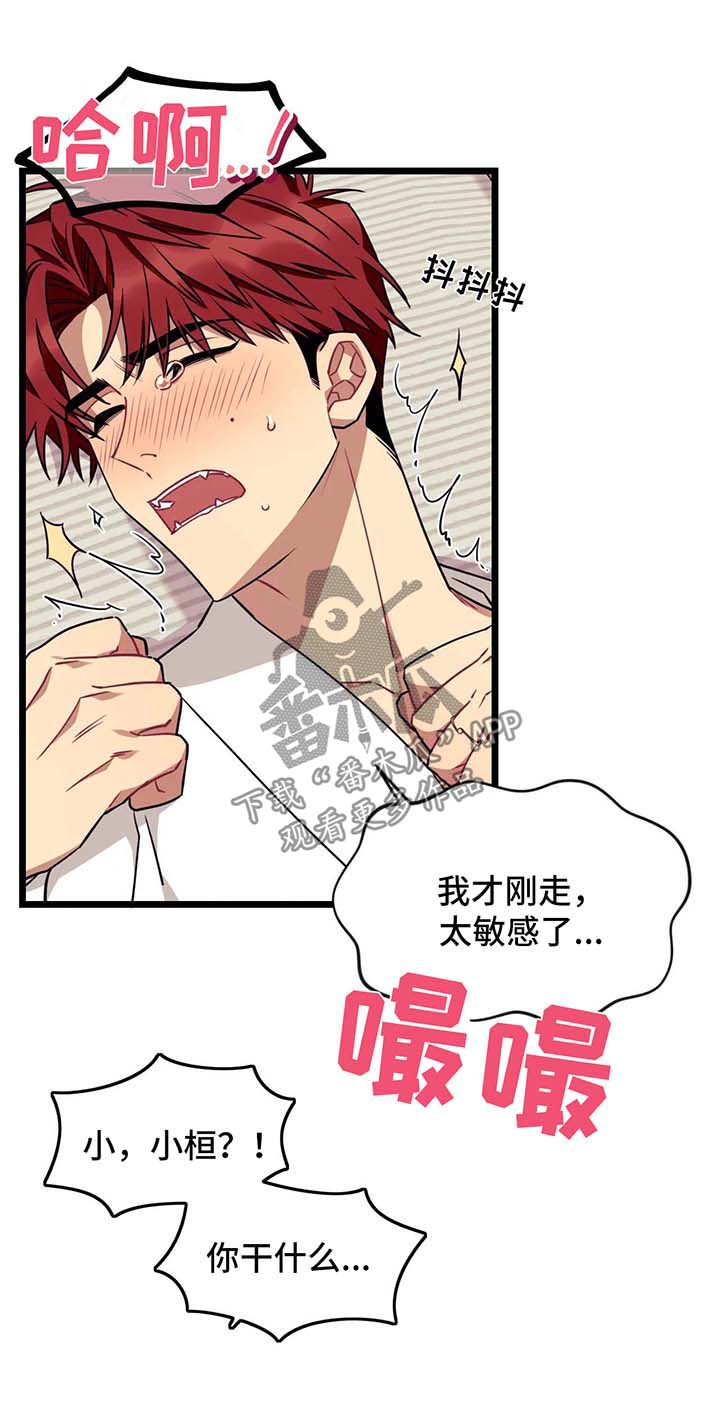 愿望使命召唤漫画,第50章：去床上2图