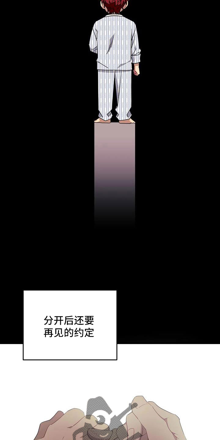 愿望使命漫画免费下拉式漫画,第109章：【第三季】不会忘了你2图