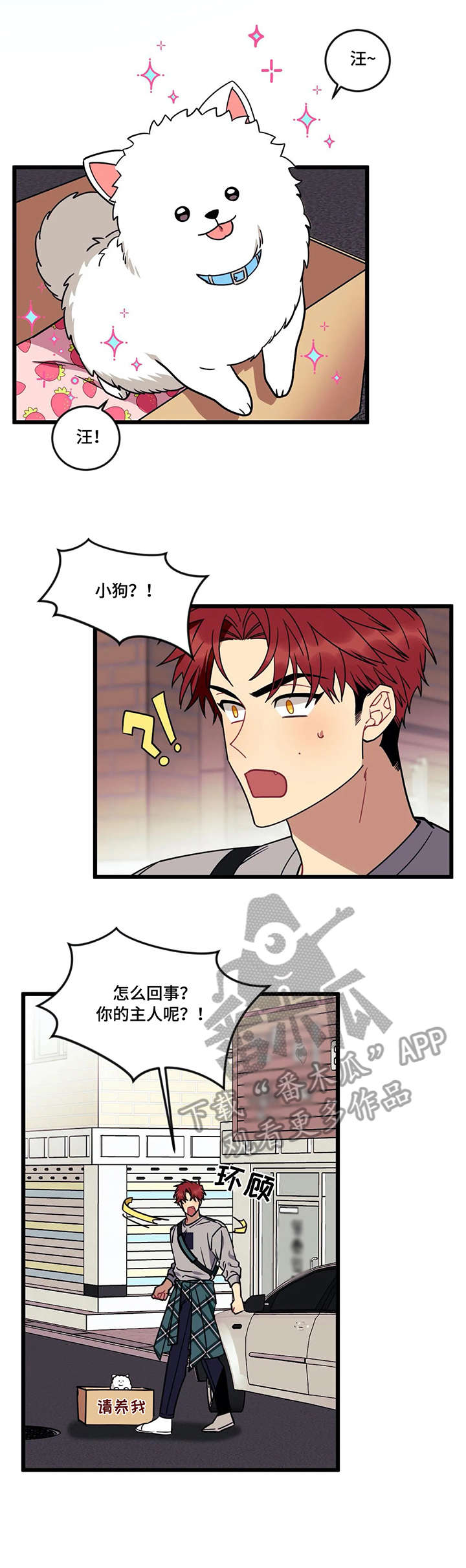 愿望什么意思漫画,第21章：流浪狗2图