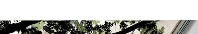 樱花树下的约定粤语漫画,第56话1图