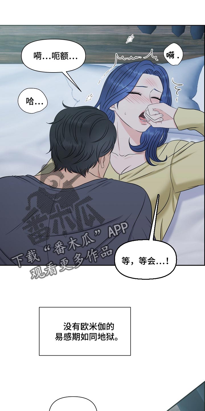 女性欧美人身体素质漫画,第36章：最佳选择1图