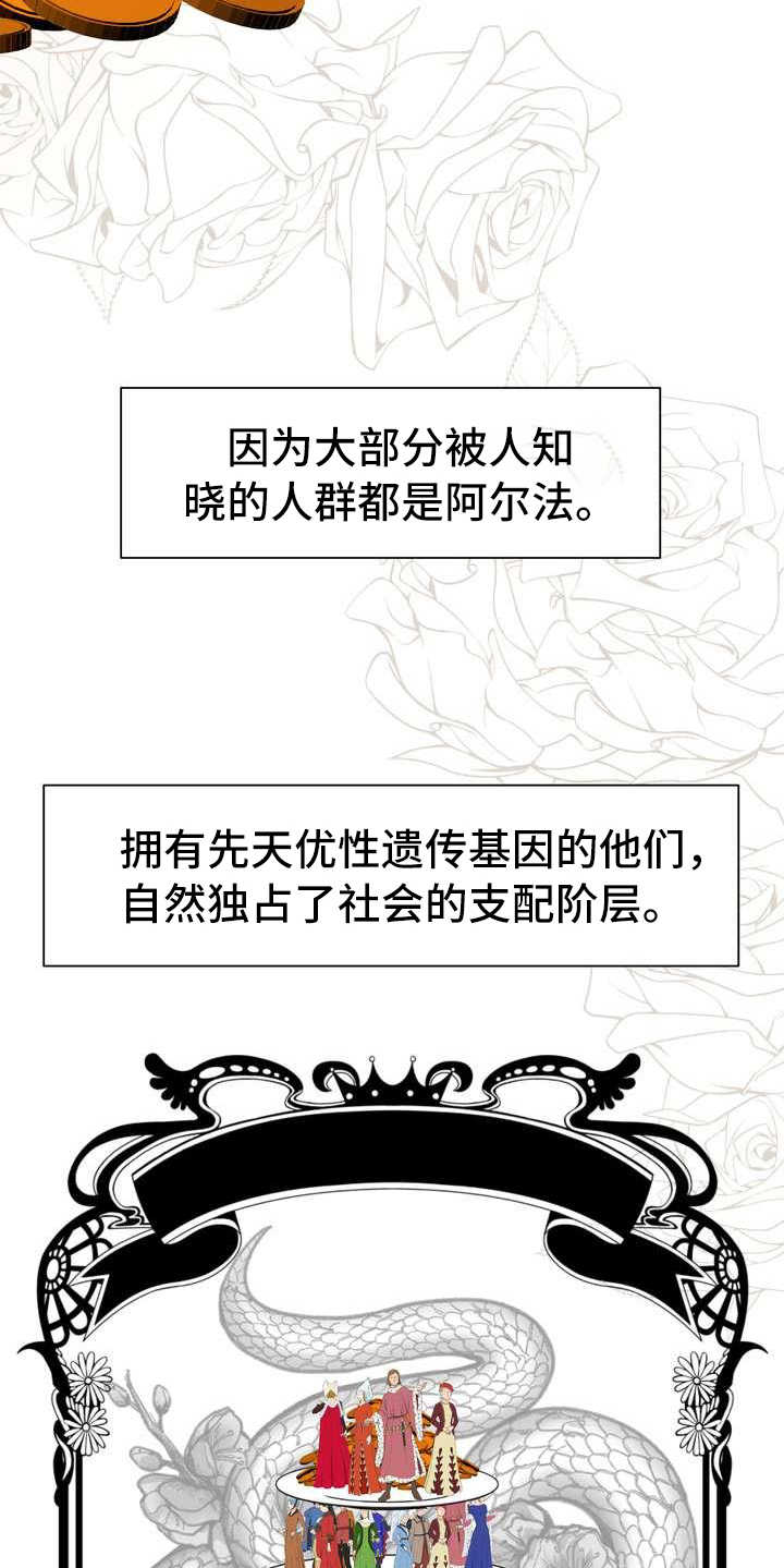 女性欧米茄是什么意思漫画,第3章：欧米伽2图