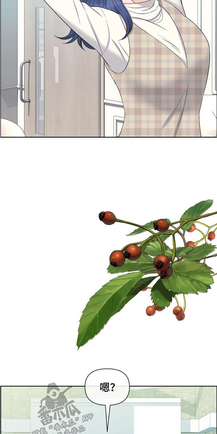 女性欧米伽漫画,第92章：出院1图