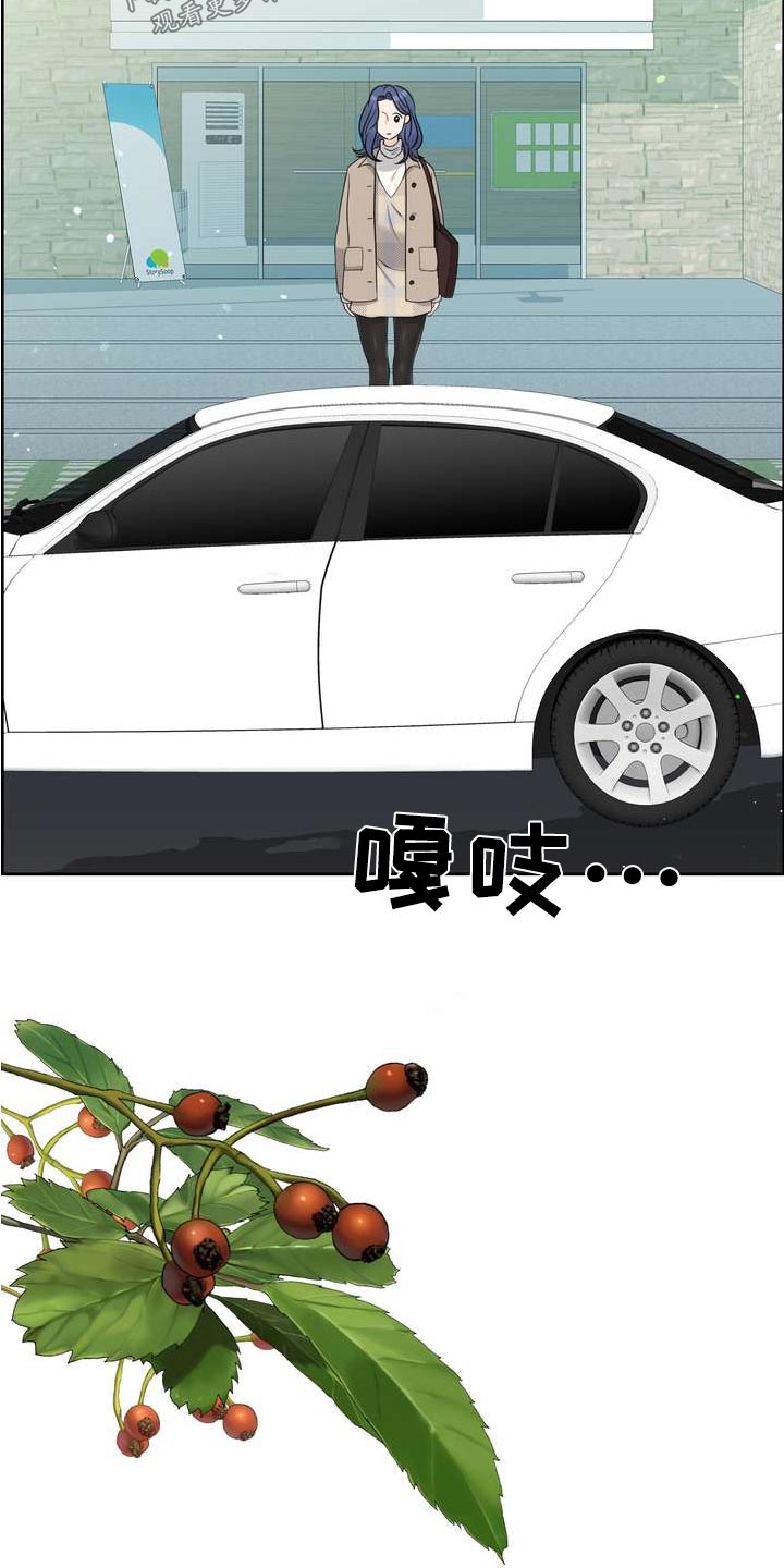 女性欧米伽漫画,第92章：出院2图