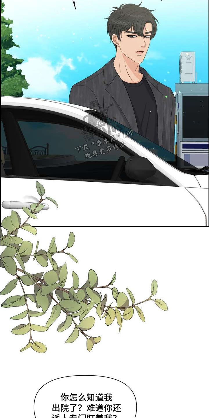 女性欧米伽漫画,第92章：出院2图